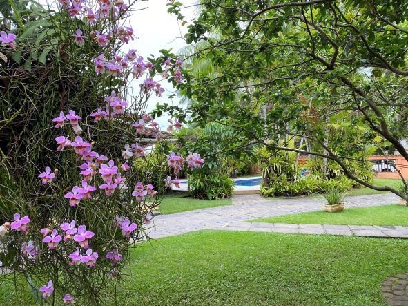 jardim.jpg