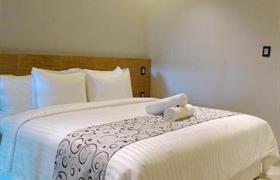 Standard King Room of Hotel Kavia Plus