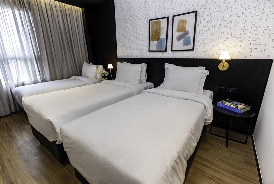 standard triplo 2.jpg