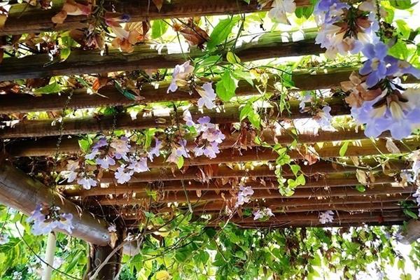 Foto 3 do Hotel Pousada do Sol