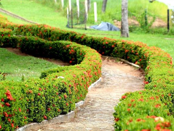 whatsapp image 2019-09-03 at 06.05.42.jpeg