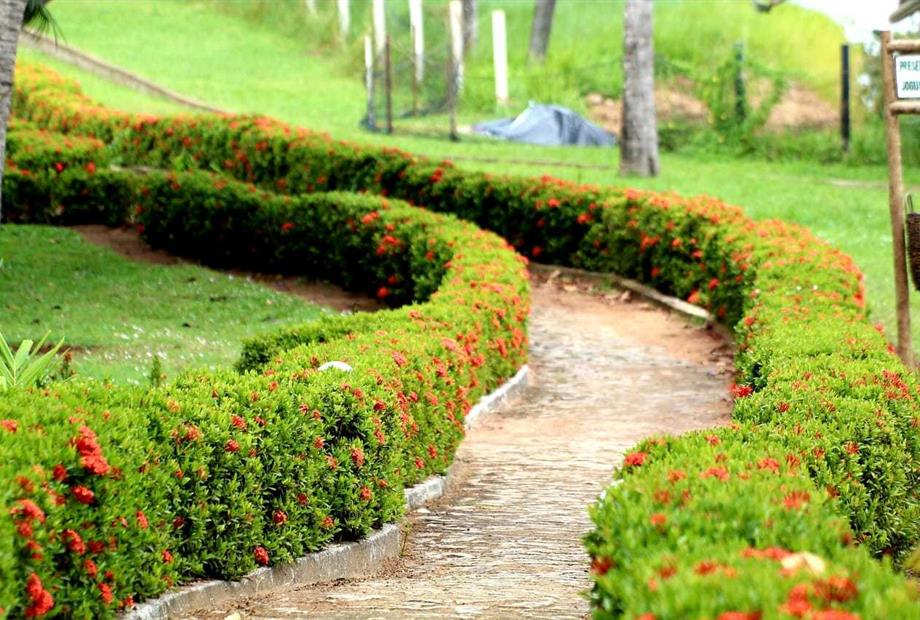 whatsapp image 2019-09-03 at 06.05.42.jpeg