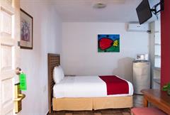 Habitación Estándar Superior- 1 cama