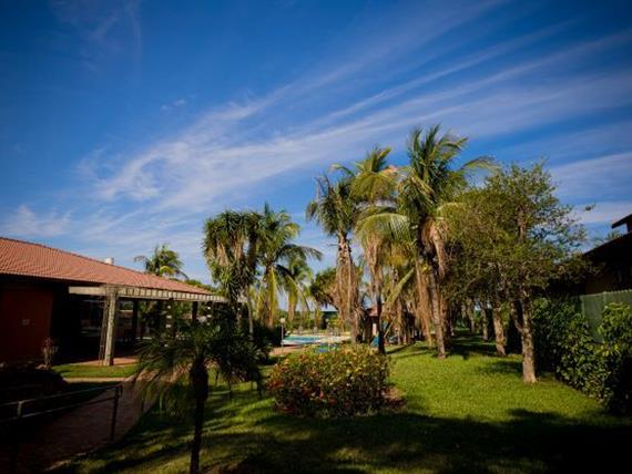 garden (3) - 1mb.jpg