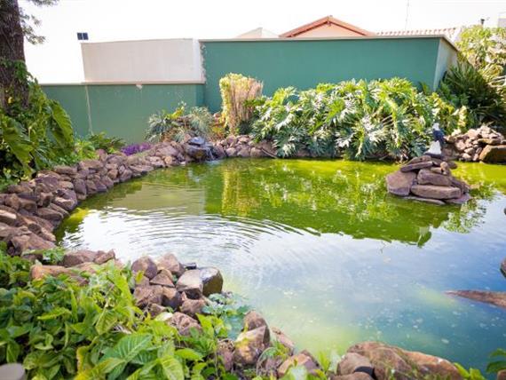 garden (1) - 1mb.jpg