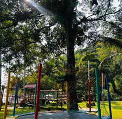 whatsapp image 2024-12-12 at 15.18.09.jpeg