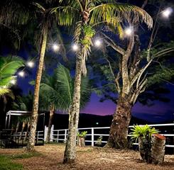 whatsapp image 2022-10-24 at 15.47.28 (3).jpeg