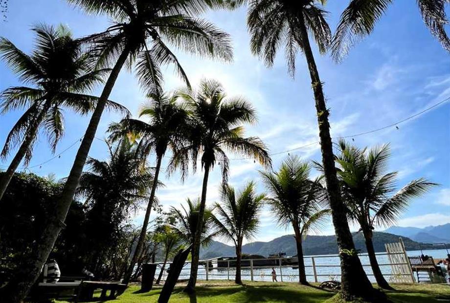 whatsapp image 2022-10-24 at 15.47.28 (2).jpeg