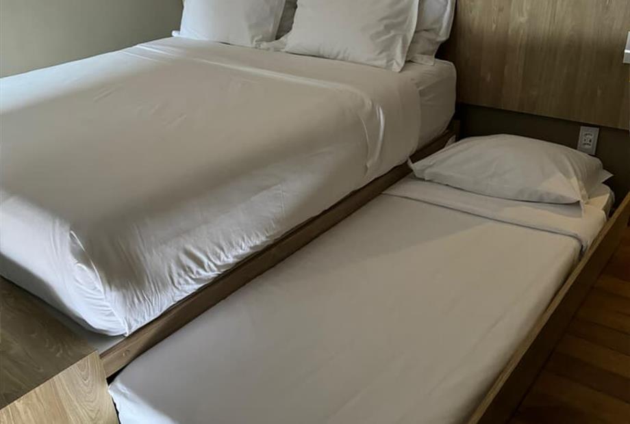 whatsapp image 2024-11-19 at 20.42.36.jpeg