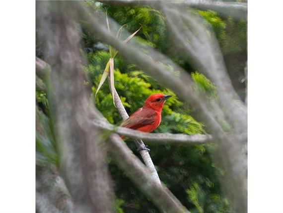 DSC_2068.jpg