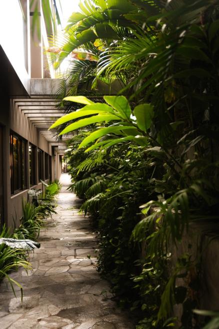 Photo 3 of Tintto Hotel