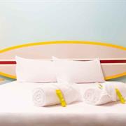 STANDARD PNE ADAPTADO