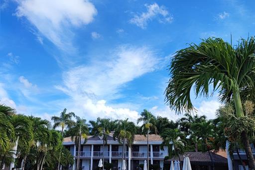 whatsapp image 2023-05-05 at 3.34.59 pm (1).jpeg