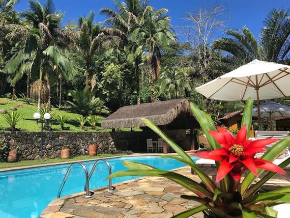 foto principal bromelias paraty.jpeg