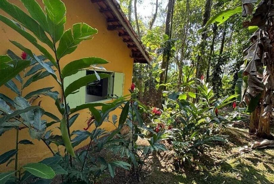 bangalo standard (1).jpg