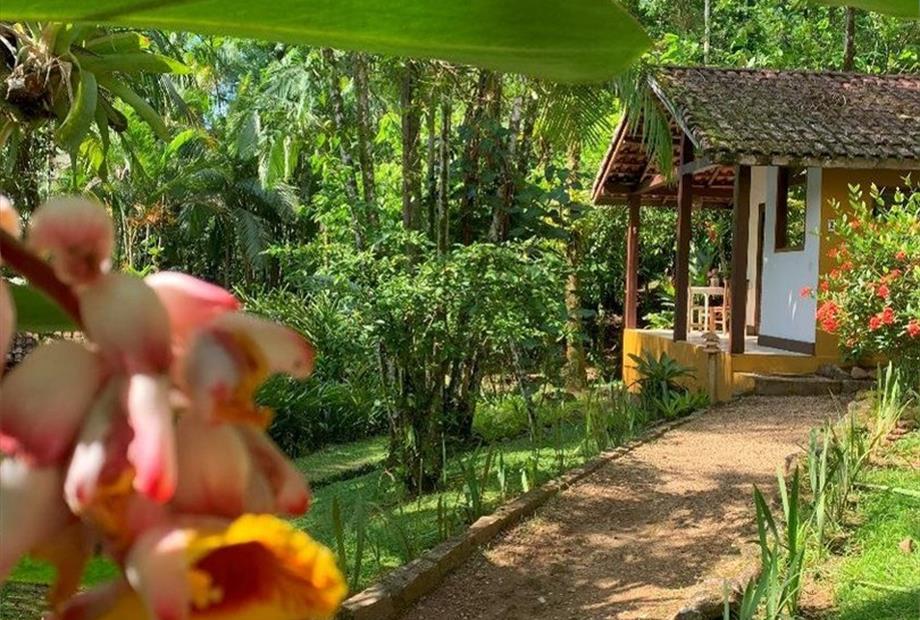 bangalo special (1).jpg