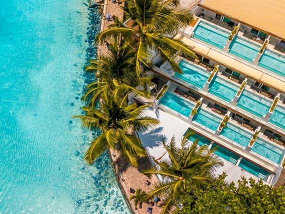 whatsapp image 2026-02-23 at 14.09.47.jpeg