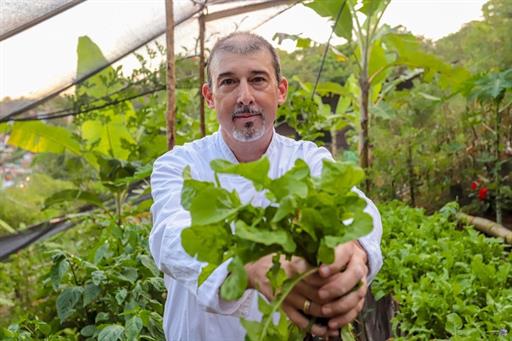 whatsapp image 2022-12-17 at 09.57.08 (12).jpeg