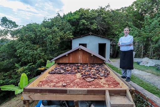 whatsapp image 2022-12-17 at 09.57.08 (13).jpeg