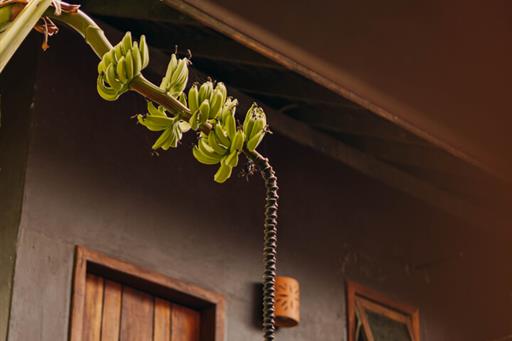 chocolatehotel (49).jpg