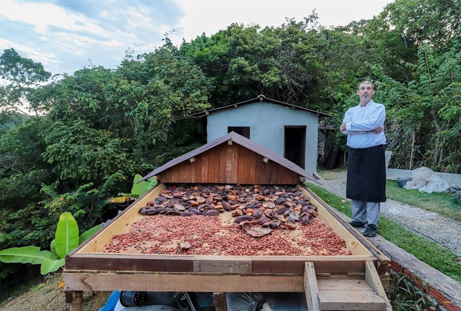 whatsapp image 2022-12-17 at 09.57.08 (13).jpeg