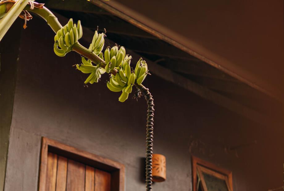 chocolatehotel (49).jpg