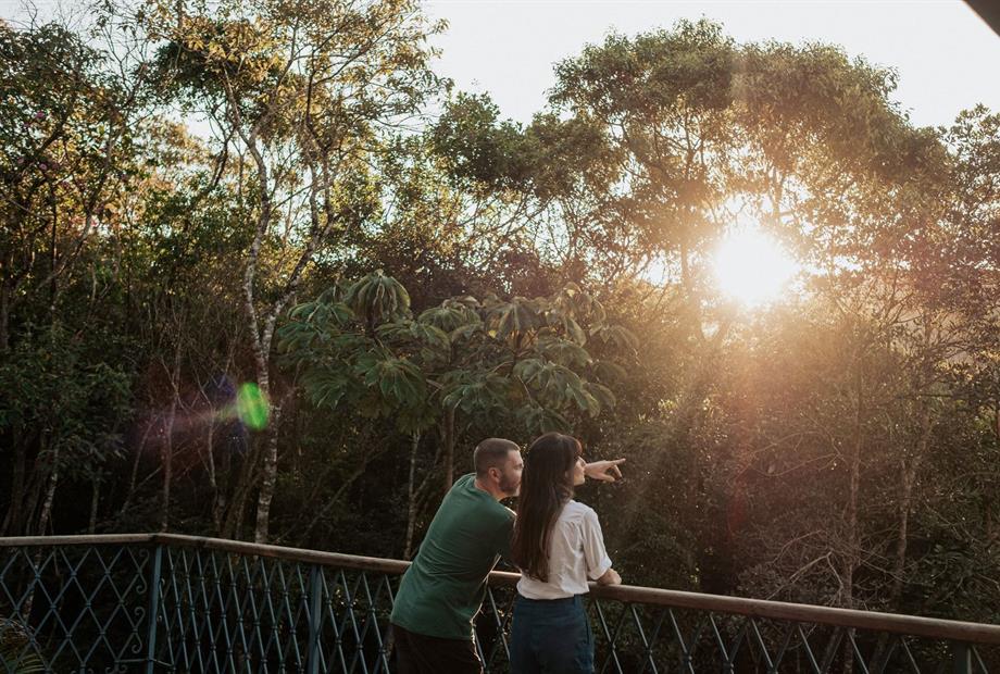 modelos deck suite 7.jpg