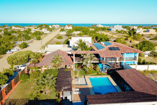 6 aerea coral de fogo.png