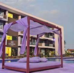 whatsapp image 2023-01-12 at 17.22.27.jpeg