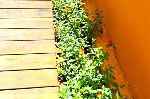 imagem nova fa 17 oct 019.jpg