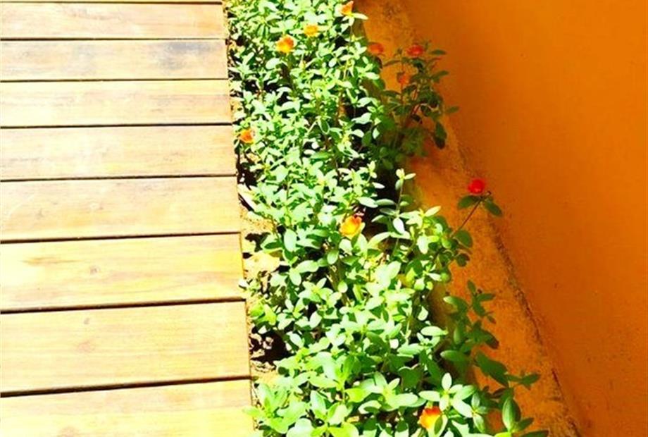 imagem nova fa 17 oct 019.jpg