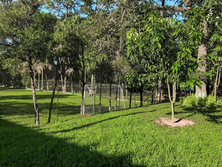 campo de futebol.jpg