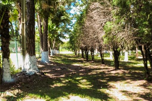 hotelmonalisa 089.jpg