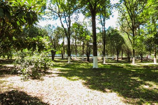 hotelmonalisa 078.jpg