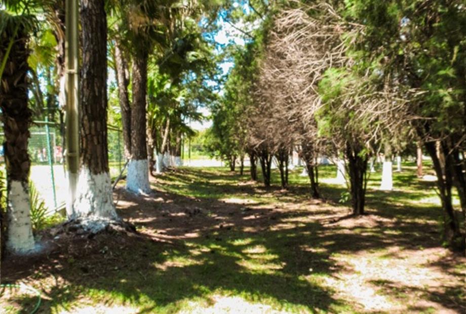 hotelmonalisa 089.jpg