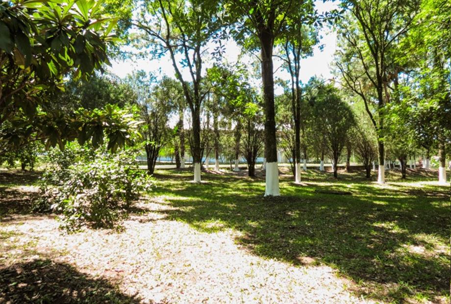 hotelmonalisa 078.jpg