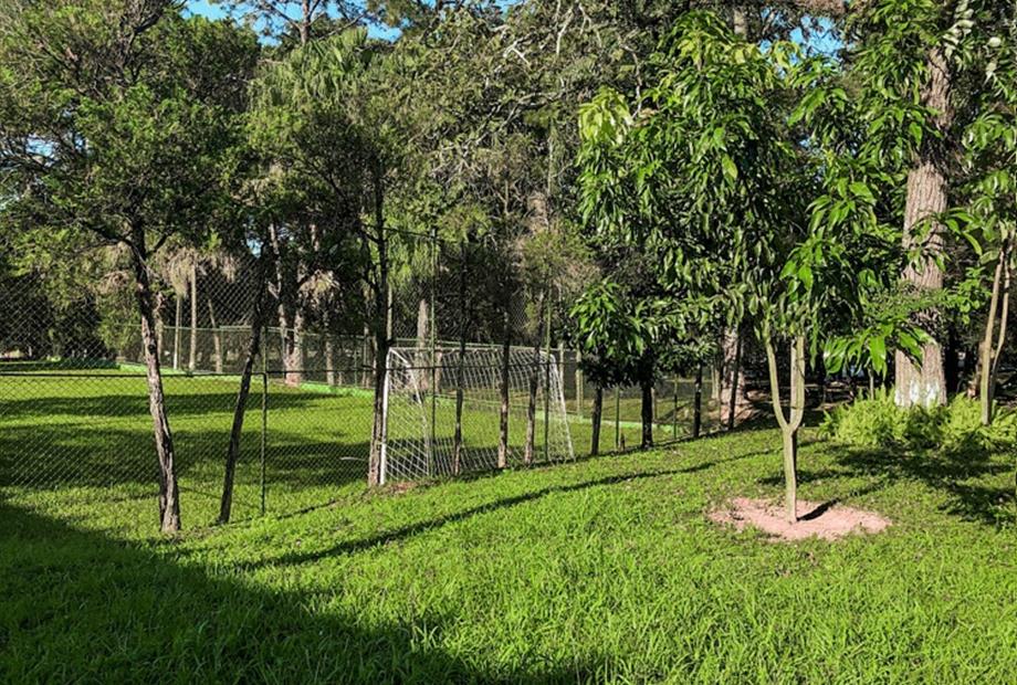 campo de futebol.jpg