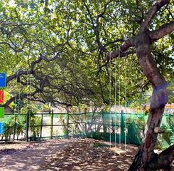 whatsapp image 2023-02-26 at 18.56.42.jpeg