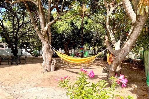 whatsapp image 2023-02-26 at 18.56.45.jpeg