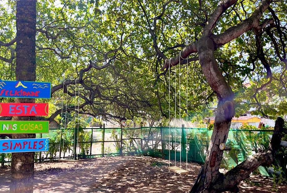 whatsapp image 2023-02-26 at 18.56.42.jpeg