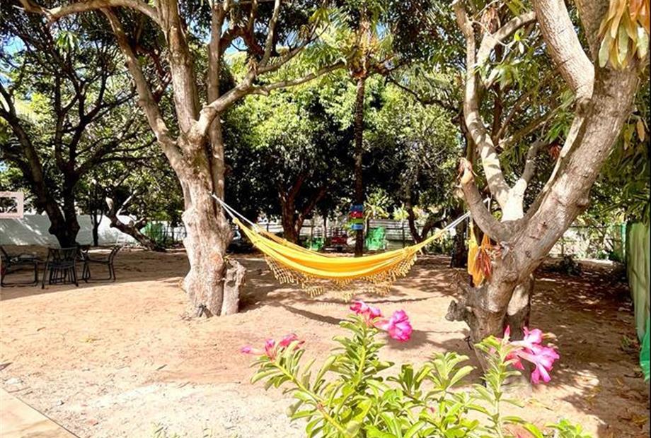 whatsapp image 2023-02-26 at 18.56.45.jpeg