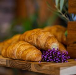 cópia de _raf2975.jpg