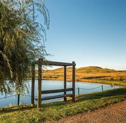 cópia de _raf3661.jpg