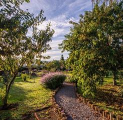 cópia de _gab2685.jpg