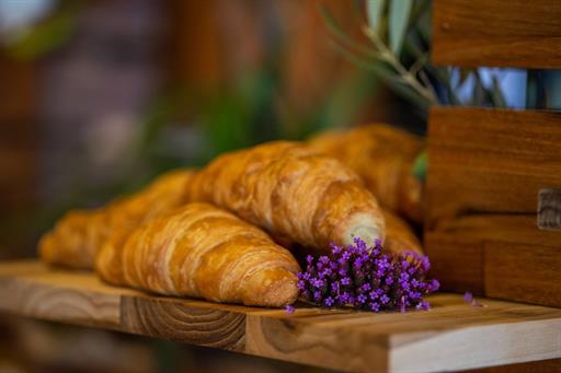 cópia de _raf2975.jpg