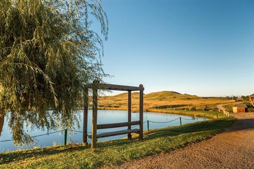 cópia de _raf3661.jpg