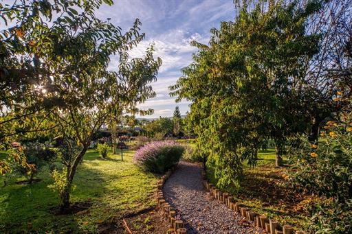 cópia de _gab2685.jpg