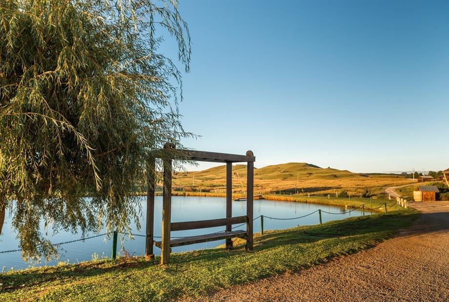 cópia de _raf3661.jpg