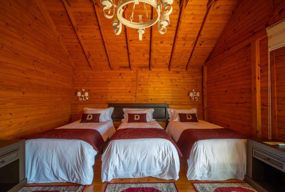 whatsapp image 2023-06-15 at 16.15.32.jpeg