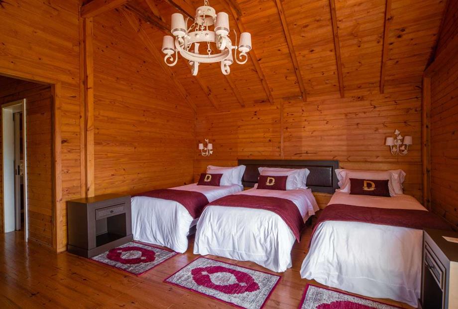 whatsapp image 2023-06-15 at 16.14.50.jpeg